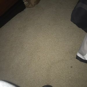 Meet your Posher, Jonell